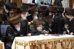 בילדער פון שמחת החתונה בחצר הקודש בעלזא
