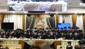 בילדער פון שמחת החתונה בחצר הקודש בעלזא