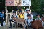 קראלי קעמפ האט אויפגעשפילט חודש אייר מיט רבי ישעיה'לע קערעסטירער'ס ציון