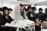 שמחת הברית של בן הנולד אצל הרב משה גולדמאן שליט"א אין שטוב פון הרה"ק רבי יעקב מאיר שעכטער שליט"א בהשתתפות כ"ק אדמו"ר מזוועהיל שליט"א.