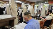 פרישע בילדער פון זומער אין ניקלשבורג