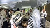 פרישע בילדער פון זומער אין ניקלשבורג