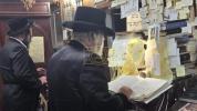 פרישע בילדער פון זומער אין ניקלשבורג