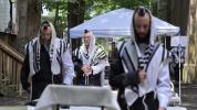 פרישע בילדער פון זומער אין ניקלשבורג