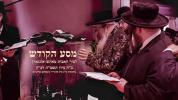 פולע ווידעא: מסע הקודש פון כ"ק אדמו"ר מטאהש שליט"א קיין אונגארן און פולין