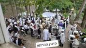 קאלירפולע באזוך אין ניקלשבורג
