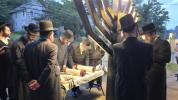 קאלירפולע באזוך אין ניקלשבורג