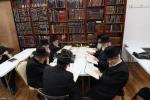 פולע בילדער פון כ"ק אדמו"ר מסאטמאר שליט"א אין ניו העמפשיר 