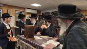 Main image for פרישע בילדער און ווידיאוס פון ניקלשבורג 