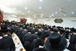 פרישע פולע גאלעריע פון כ"ק אדמו"ר מסאטמאר שליט"א אין ניו העמפשיר 