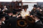 פרישע פולע גאלעריע פון כ"ק אדמו"ר מסאטמאר שליט"א אין ניו העמפשיר 