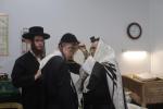 פרישע פולע גאלעריע פון כ"ק אדמו"ר מסאטמאר שליט"א אין ניו העמפשיר 