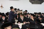 פרישע פולע גאלעריע פון כ"ק אדמו"ר מסאטמאר שליט"א אין ניו העמפשיר 