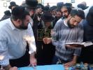 הגאון רבי אביש צענווירטה שליט"א אויף מקומות הקדושים