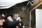 Main image for כ"ק ראב"ד סקוירא שליט"א שאלה בענין מצות שילוח הקן