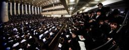 יומא דהילולא קדישא פון כ"ק אדמו"ר מבאבוב זצ"ל ביי בנו כ"ק אדמו"ר מבאבוב שליט"א