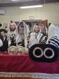 אדמורי"ם ורבנים שליט''א אין קערעסטיר די וואך פון כ"ח תמוז