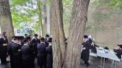 ניקלשבורג'ע אקטיוויטעטן 