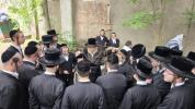 ניקלשבורג'ע אקטיוויטעטן 