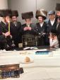 כ"ק אדמו"ר מסעריט וויזניץ שליט"א מוצאי שבת אין עסטרייך 