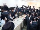 פולע בילדער פון חתונה פון אור אייניקל פון הרה"ק רבי יעקב מאיר שעכטער שליט"א