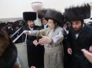 פולע בילדער פון חתונה פון אור אייניקל פון הרה"ק רבי יעקב מאיר שעכטער שליט"א