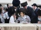 פולע בילדער פון חתונה פון אור אייניקל פון הרה"ק רבי יעקב מאיר שעכטער שליט"א
