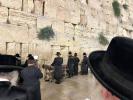 הרה"צ רבי אהרן מענדיל טווערסקי שליט"א בנו בכורו פון כ"ק אדמו"ר מסקווירא שליט"א ביים כותל המערבי 