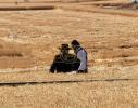 הגה"צ אבדק"ק ור"מ סאטמאר וומ"ס שליט"א אין איידעהאו ביים שניידן ווייץ לקראת חג הפסח תשפ"ו