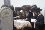 מסע התומכים בראשות גאב"ד סאטמאר מאנסי שליט"א 