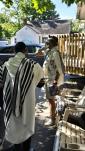 פרישע בילדער פון ניקלשבורג 