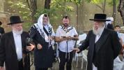 ניקלשבורג אקטיוויטעטן 