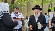 ניקלשבורג אקטיוויטעטן 