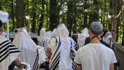 ניקלשבורג אקטיוויטעטן 