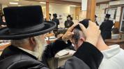 א בליק ביי כ"ק אדמו"ר מניקלשבורג שליט"א 