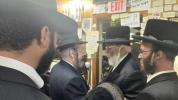 פולע בילדער פון סוף זומער אין ניקלשבורג 