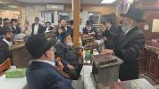 פולע בילדער פון סוף זומער אין ניקלשבורג 