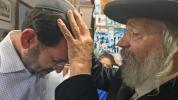 פולע בילדער פון סוף זומער אין ניקלשבורג 