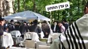 Main image for סוף זומער אין ניקלשבורג 