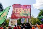 זומער קעמפ אין מאסקעווע 