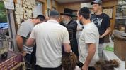 קאנסטראקשן אין ניקלשבורג 