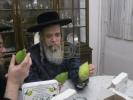 מראות חייו פון כ"ק אדמו"ר מקרעטשניף סיגעט זצ"ל 