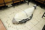 פולע גאלעריע: מסע הלויה פון כ"ק אדמו"ר מקרעטשניף סיגעט זצ"ל 