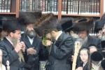 יומא דהילולא בחצר הקודש זוועהיל