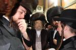 חתונה פון אור אייניקל פון הרה"ק רבי יעקב מאיר שעכטער שליט"א 