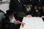 ימי השבעה בחצה"ק קרעטשניף 