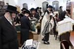   א' סליחות ביי כ"ק אדמו"ר מקרעטשניף סיגעט שליט"א