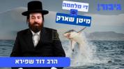 Main image for די מלחמה מיטן שארק