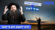Main image for די בעסטע סגולה אויף לעבן