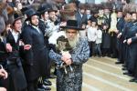 Main image for כ"ק אדמו"ר מסאטמאר שליט"א ביי הכנסת ספר תורה צו ביהמ"ד דברי יואל
